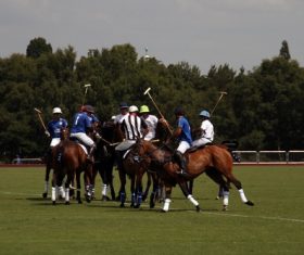 Fierce polo match Stock Photo 04