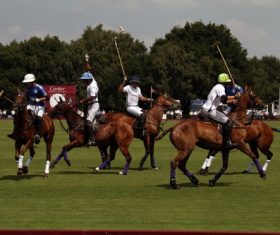 Fierce polo match Stock Photo 05