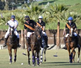 Fierce polo match Stock Photo 06