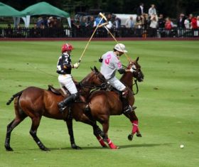 Fierce polo match Stock Photo 07