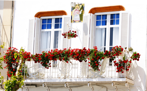 Flowers in front of balcony window Stock Photo 02