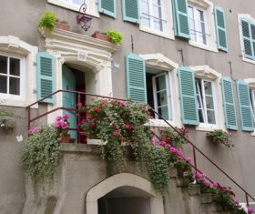 Flowers on the corridor Stock Photo 02