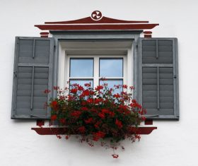 Flowers on the windowsill Stock Photo 01