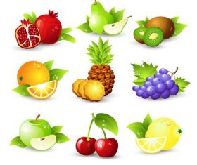 Fruits set of vector illustrations 01