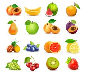 Fruits set of vector illustrations 04