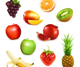 Various juicy fruits illustration vector free download