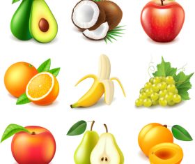 Fruits set of vector illustrations 06