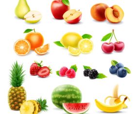 Fruits set of vector illustrations 07