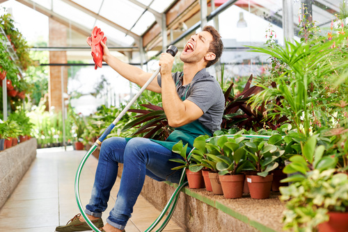 Funny young man in the flower shed Stock Photo