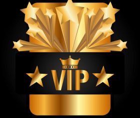 Golden VIP labels luxury design vector 05