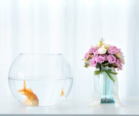 Goldfish in a fish tank Stock Photo 04