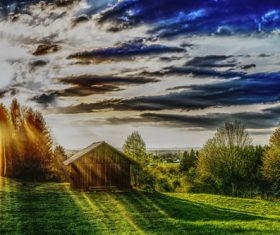 Green natural scenery Stock Photo 01