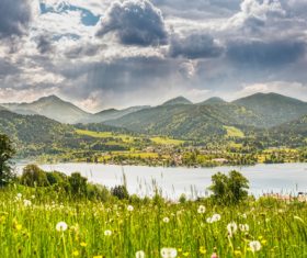 Green natural scenery Stock Photo 02