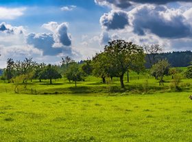 Green natural scenery Stock Photo 03