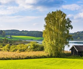 Green natural scenery Stock Photo 04