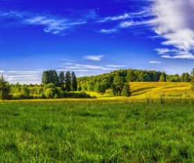 Green natural scenery Stock Photo 05