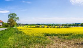 Green natural scenery Stock Photo 06