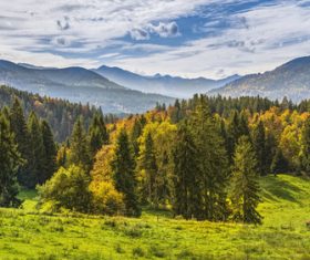 Green natural scenery Stock Photo 07