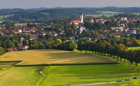 Green natural scenery Stock Photo 08