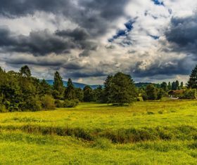 Green natural scenery Stock Photo 10