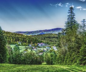 Green natural scenery Stock Photo 11