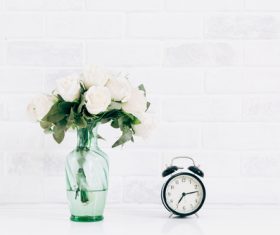 Home life decoration Stock Photo 05