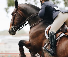 Horseback riding woman at the racecourse Stock Photo 01