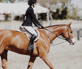 Horseback riding woman at the racecourse Stock Photo 02