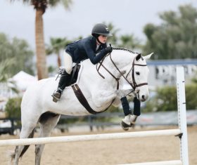Horseback riding woman at the racecourse Stock Photo 03