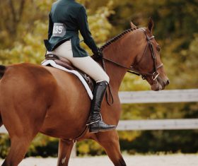 Horseback riding woman at the racecourse Stock Photo 05