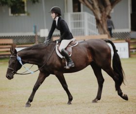 Horseback riding woman at the racecourse Stock Photo 06