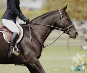 Horseback riding woman at the racecourse Stock Photo 08