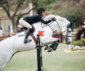 Horseback riding woman at the racecourse Stock Photo 09