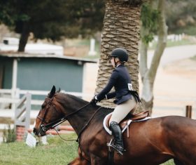Horseback riding woman at the racecourse Stock Photo 10