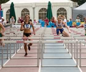 Hurdle race Stock Photo 05