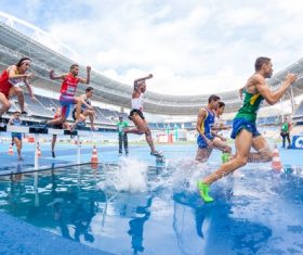 Hurdle race Stock Photo 06