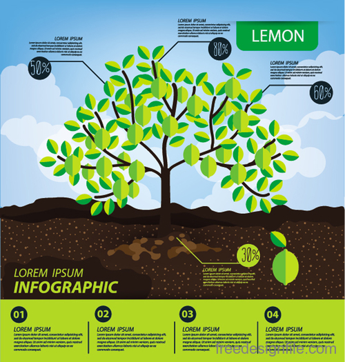 Lemon infographic template vector material
