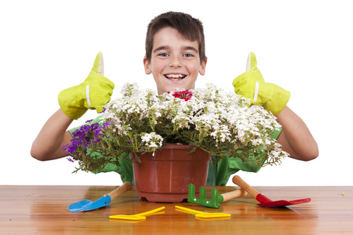 Little boy planting flowers Stock Photo
