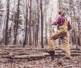 Lumberjack in Woods Stock Photo
