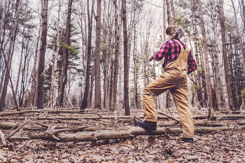 Lumberjack in Woods Stock Photo