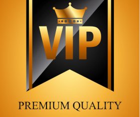 Luxury VIP background design vector 01