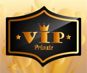 Luxury VIP background design vector 02