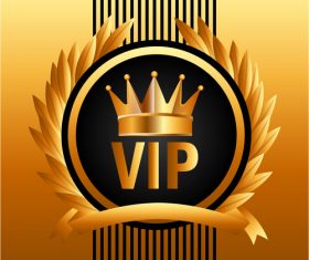 Luxury VIP background design vector 04