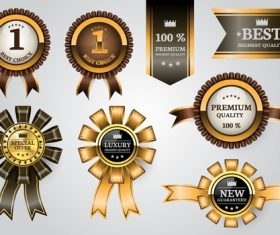 Luxury banner with badge vector