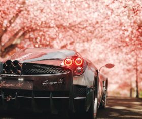 Luxury sports car on the cherry blossom road Stock Photo