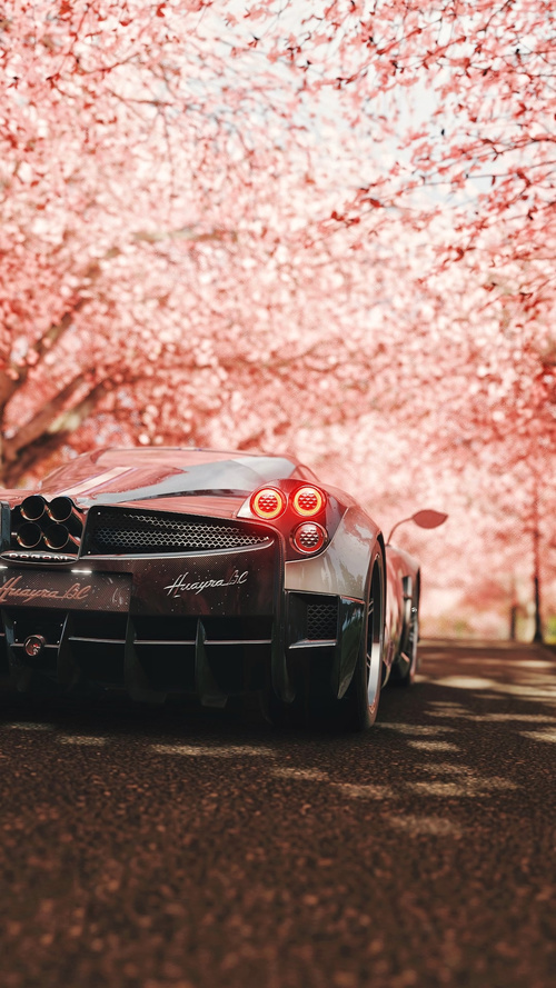 Luxury sports car on the cherry blossom road Stock Photo