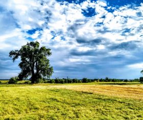 Magical beautiful natural scenery Stock Photo 05