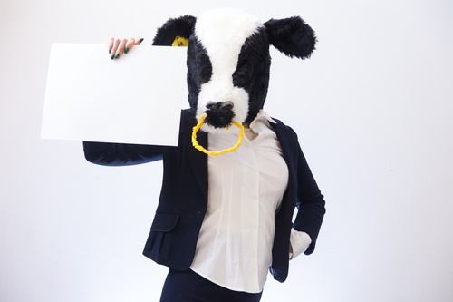 Man with a bull head mask Stock Photo 02