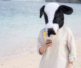 Man with a bull head mask Stock Photo 03