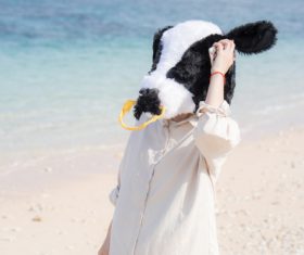 Man with a bull head mask Stock Photo 04